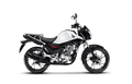 Honda CG 160 Cargo