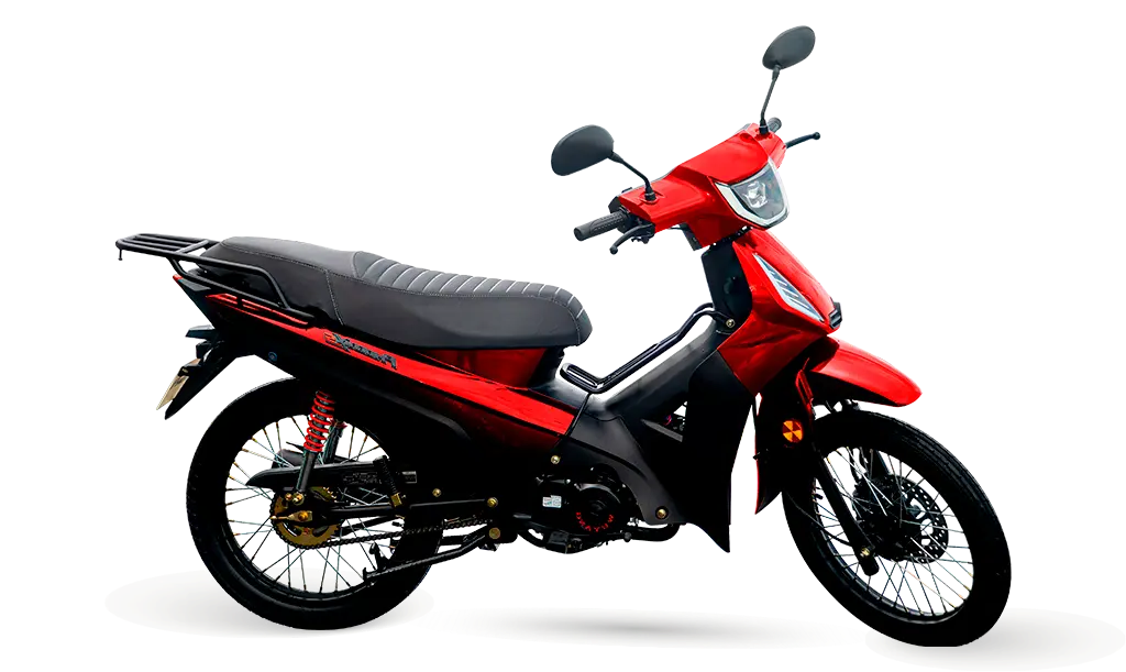 PHOENIX S